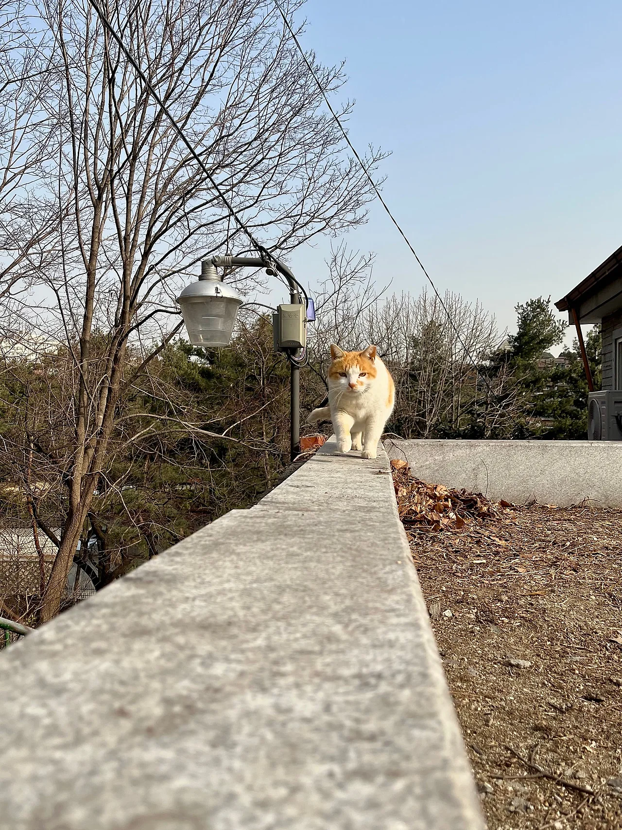 IMG%EF%BC%BF2167.jpg?type=w1600