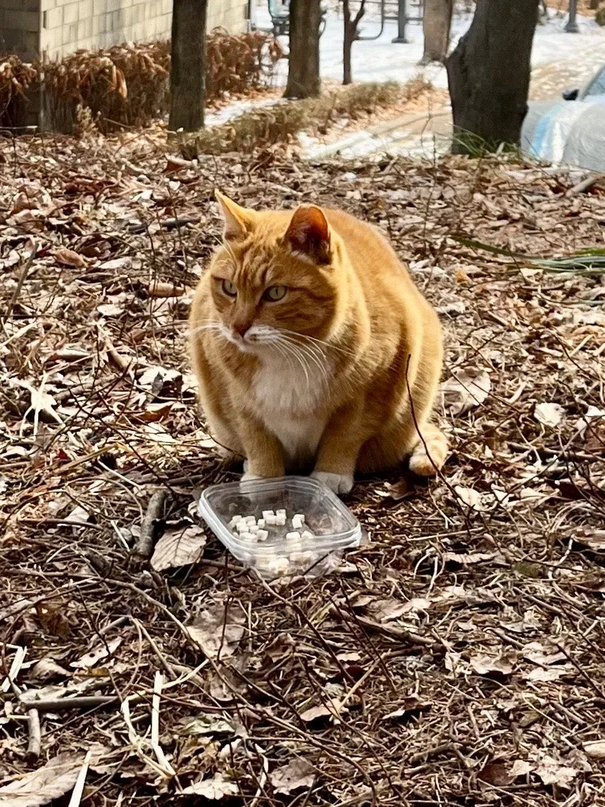 output%EF%BC%BF2365658171.jpg?type=w1600