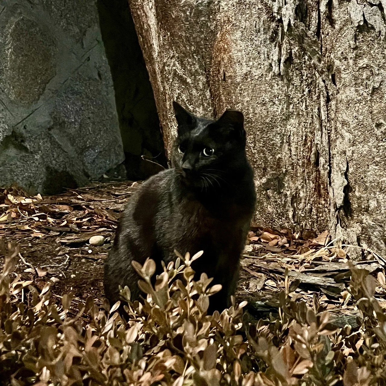 output%EF%BC%BF4183049196.jpg?type=w1600