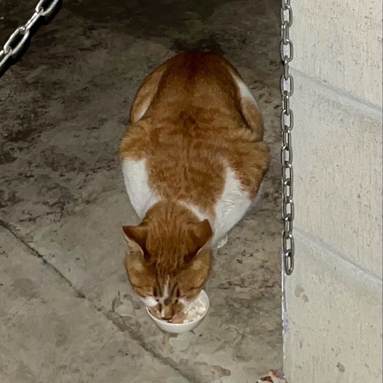 output%EF%BC%BF479518039.jpg?type=w1600