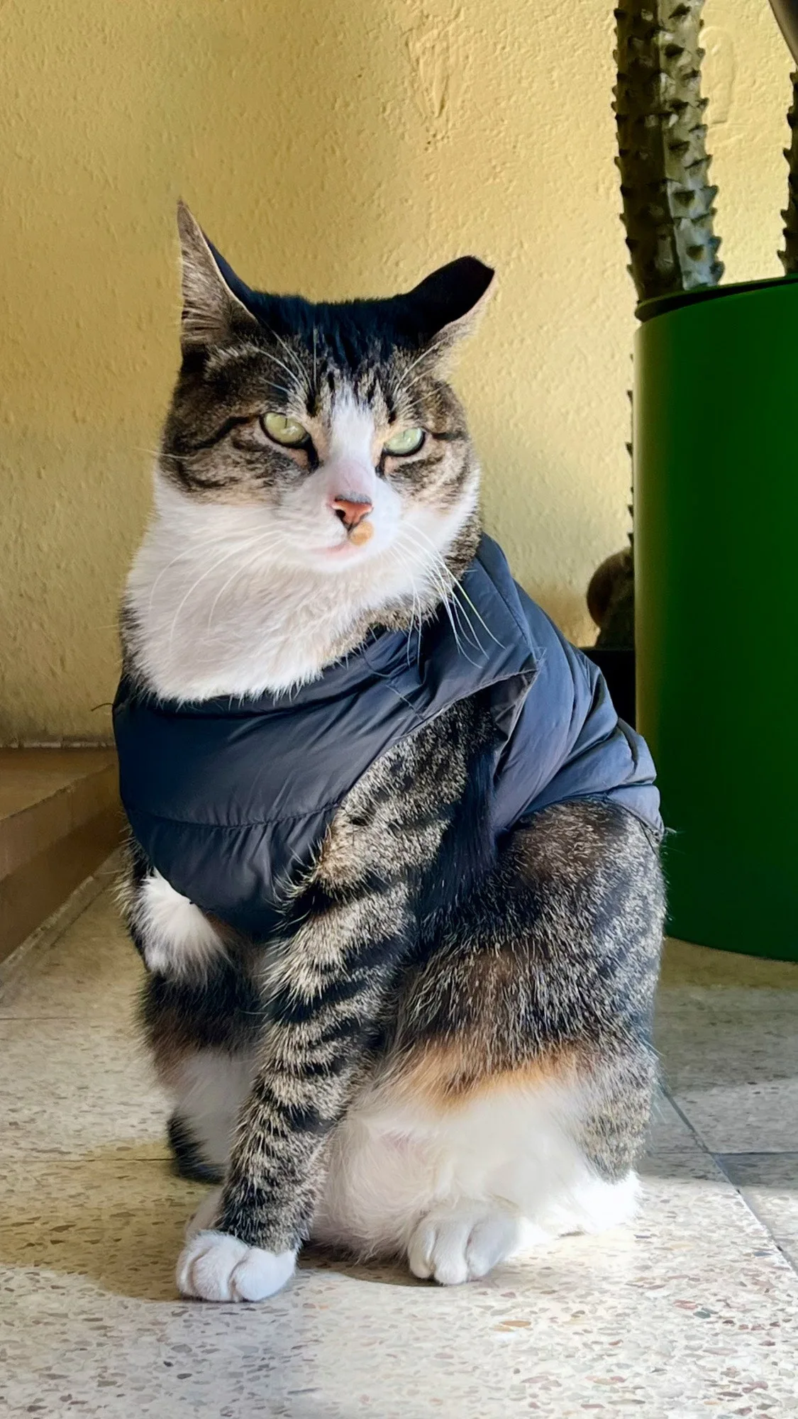 C2169242%EF%BC%8D6B7F%EF%BC%8D4578%EF%BC%8DA7BD%EF%BC%8DF6BB347734DE.jpg?type=w1600