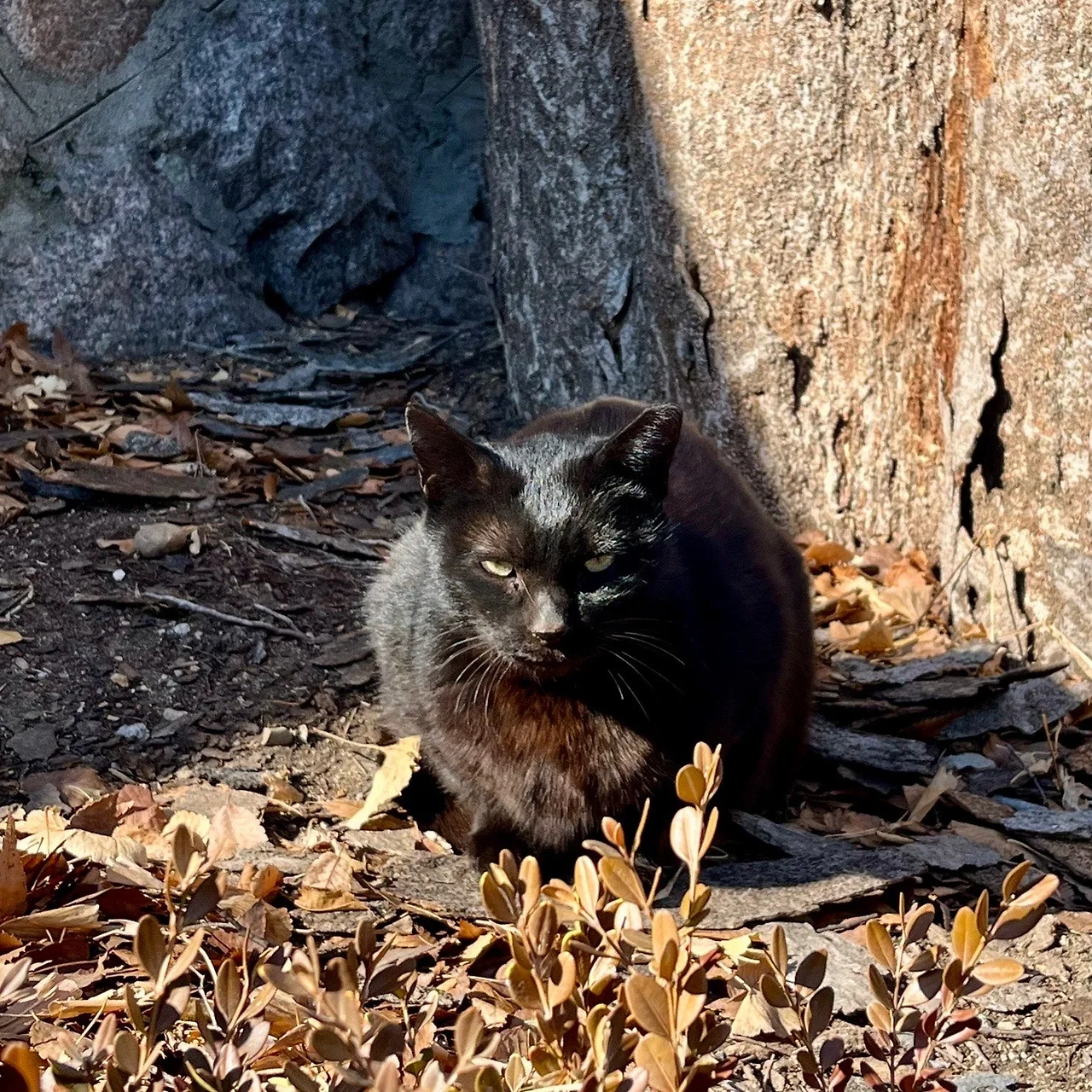 output%EF%BC%BF1187421217.jpg?type=w1600