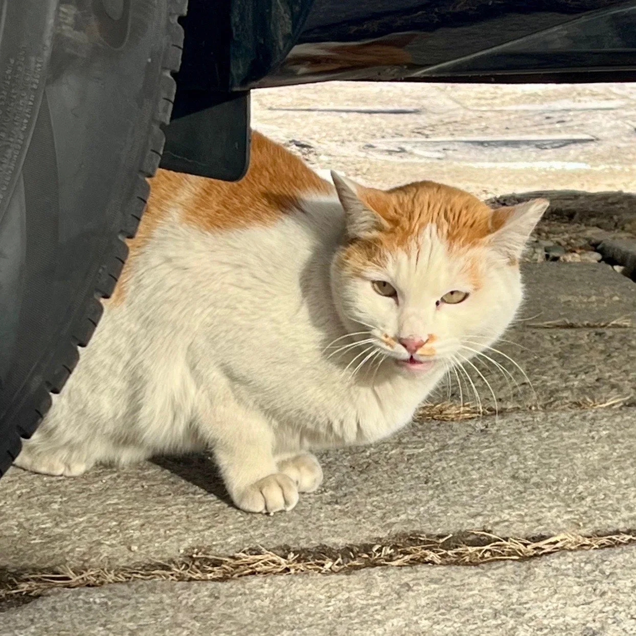 output%EF%BC%BF1725519500.jpg?type=w1600