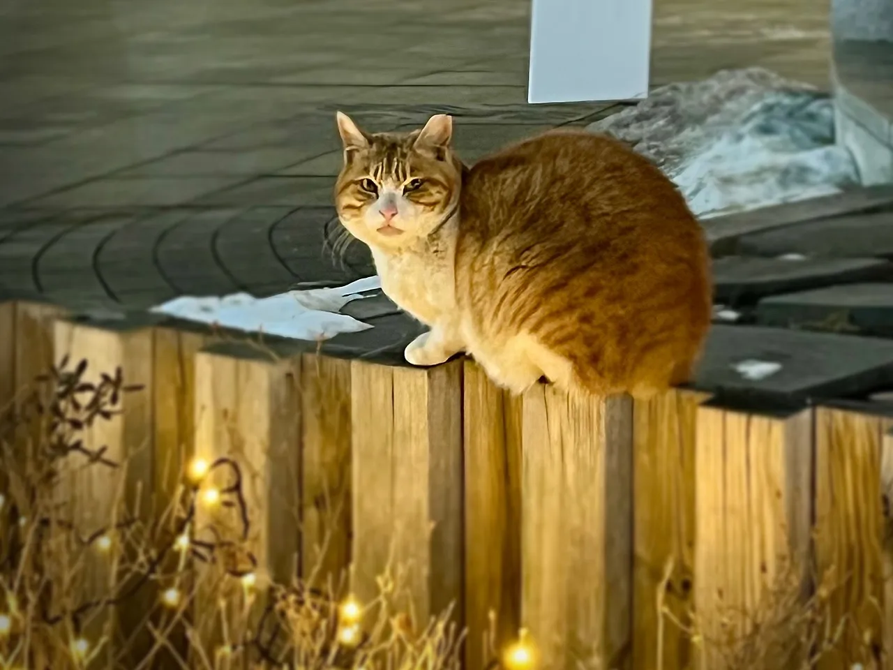 output%EF%BC%BF1978924973.jpg?type=w1600