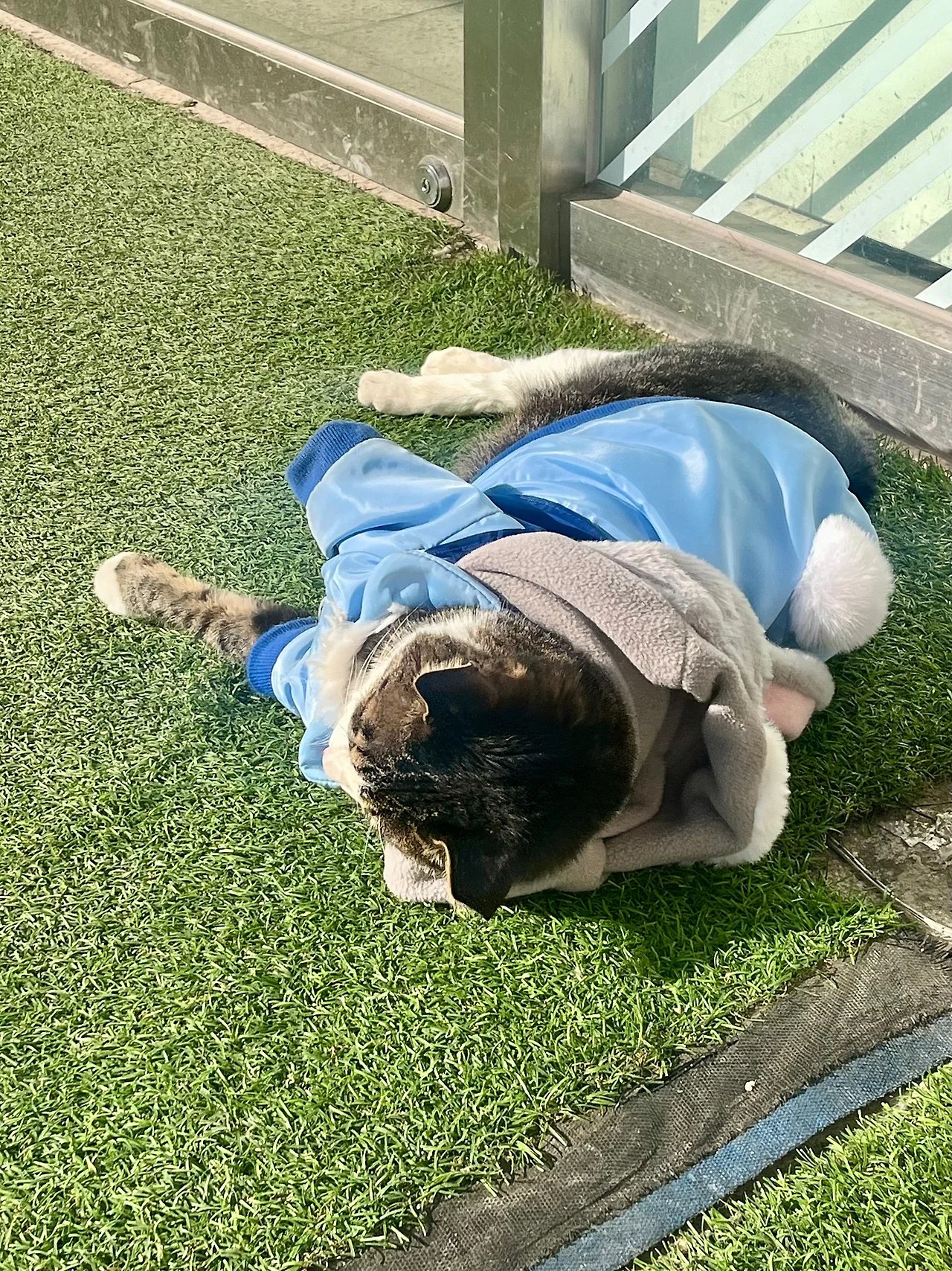 IMG%EF%BC%BF2262.jpg?type=w1600