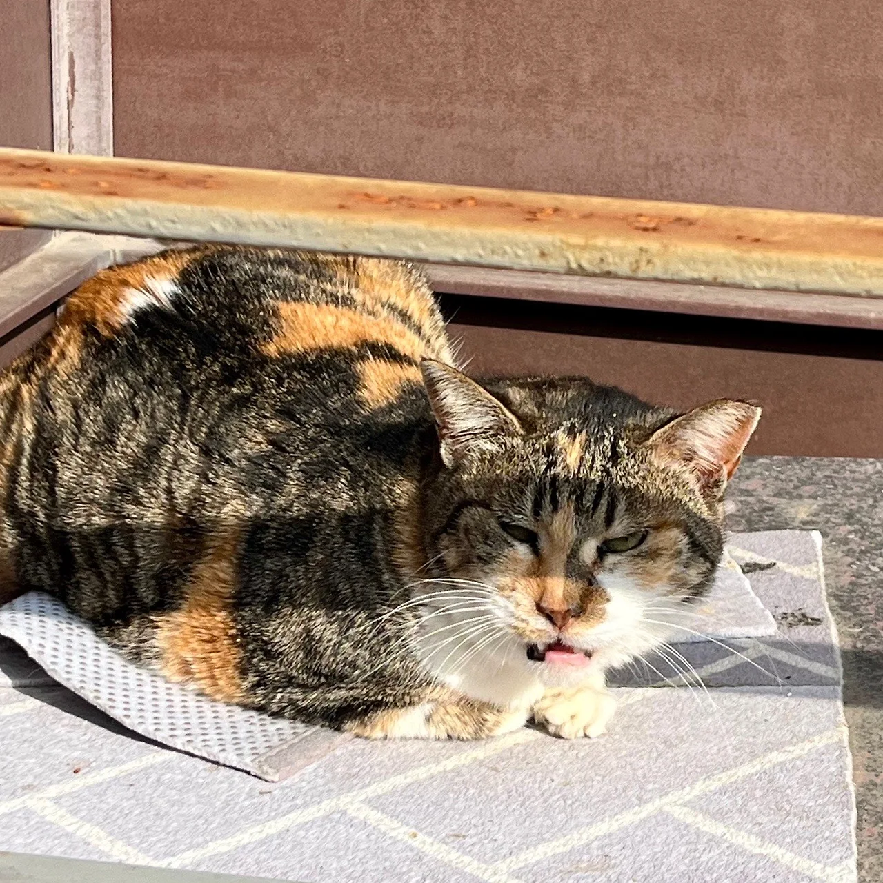 output%EF%BC%BF1978191787.jpg?type=w1600