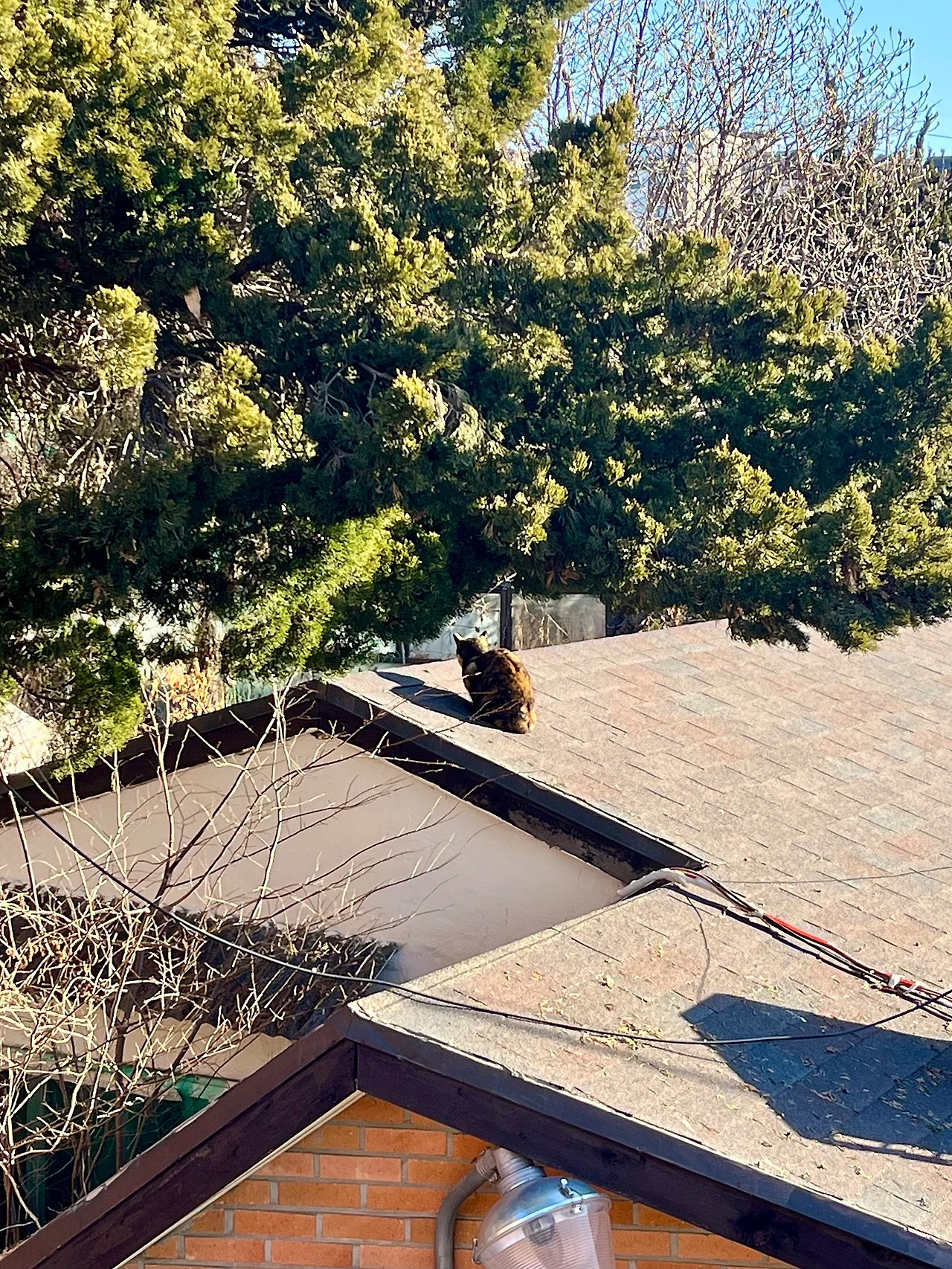 IMG%EF%BC%BF1949.jpg?type=w1600