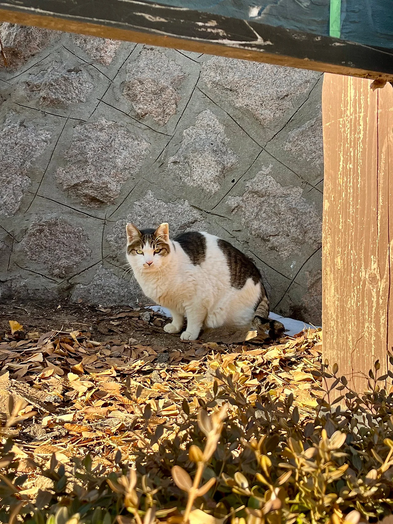 IMG%EF%BC%BF2334.jpg?type=w1600