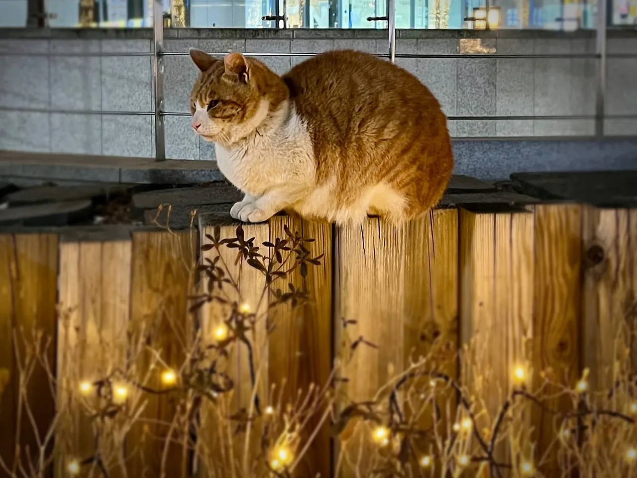 output%EF%BC%BF3418475804.jpg?type=w1600