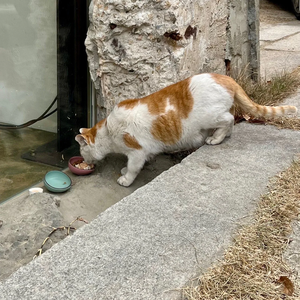 output%EF%BC%BF3892325155.jpg?type=w1600