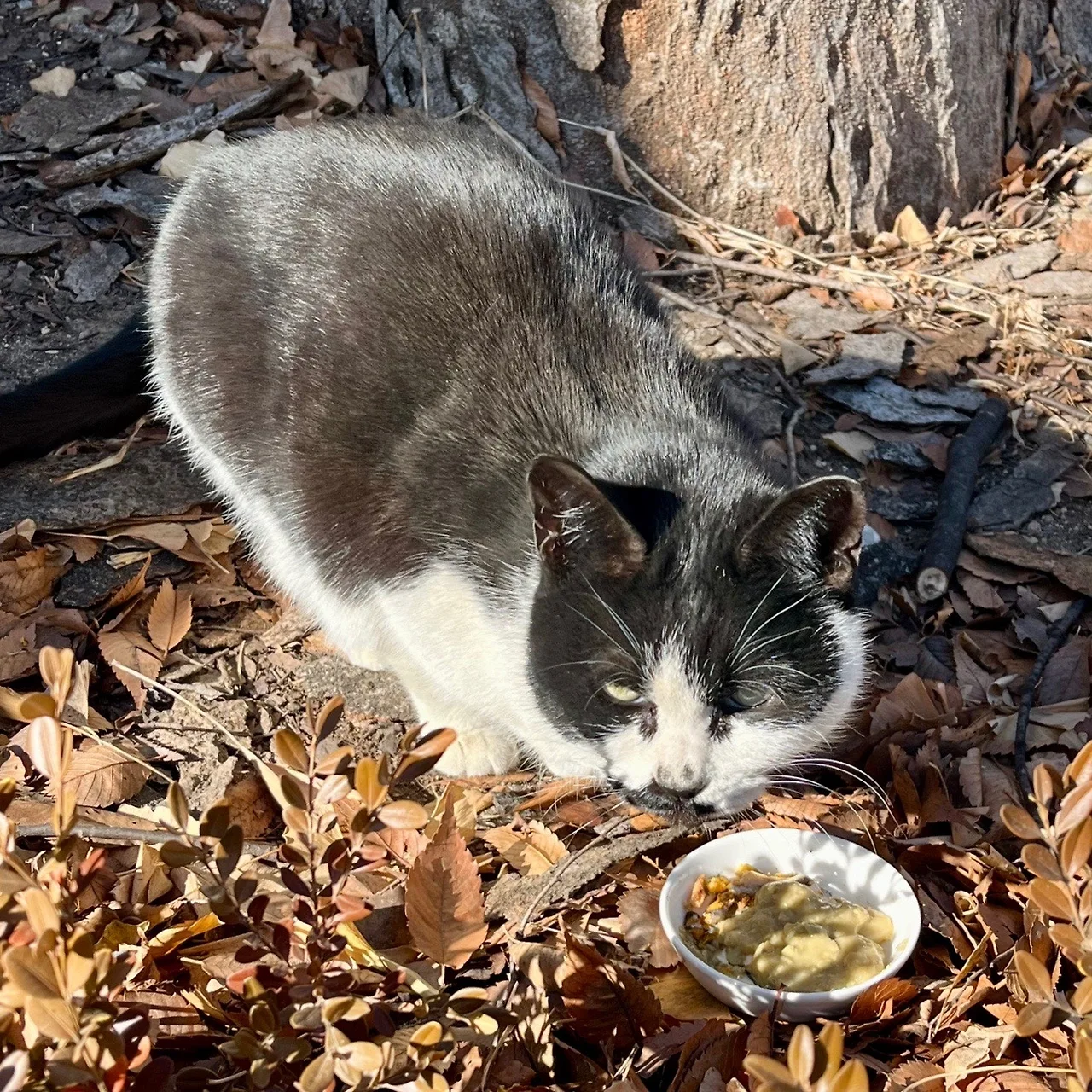 output%EF%BC%BF3201911164.jpg?type=w1600