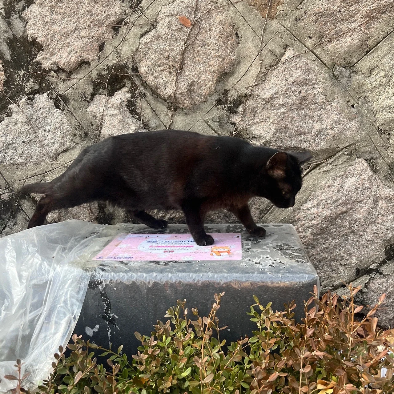 output%EF%BC%BF3580707504.jpg?type=w1600