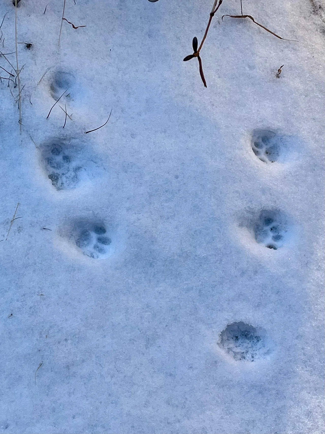 IMG%EF%BC%BF1433.jpg?type=w1600