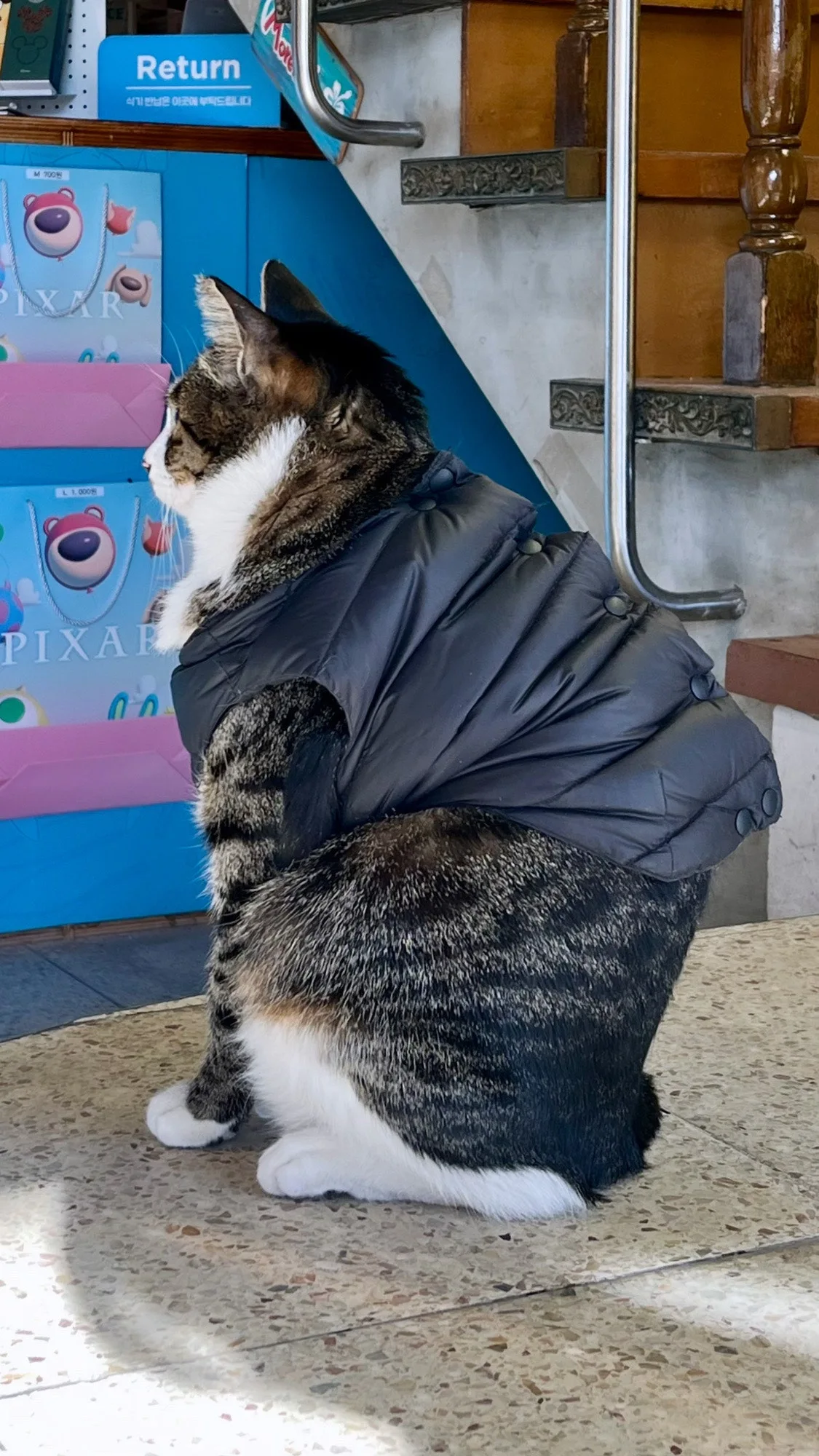 03EA6DFC%EF%BC%8D6107%EF%BC%8D4147%EF%BC%8DAD38%EF%BC%8DB6D2A9691AB5.jpg?type=w1600