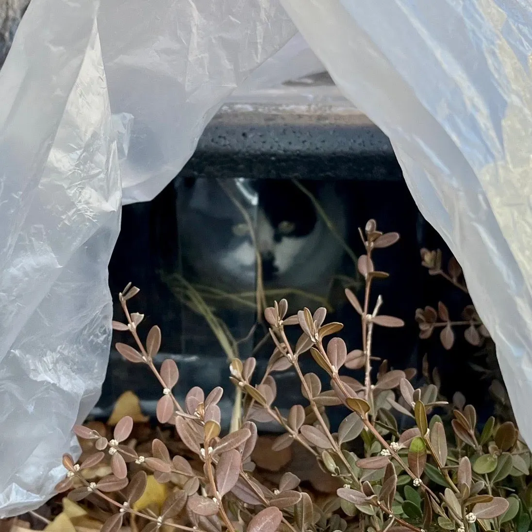 output%EF%BC%BF1754087210.jpg?type=w1600