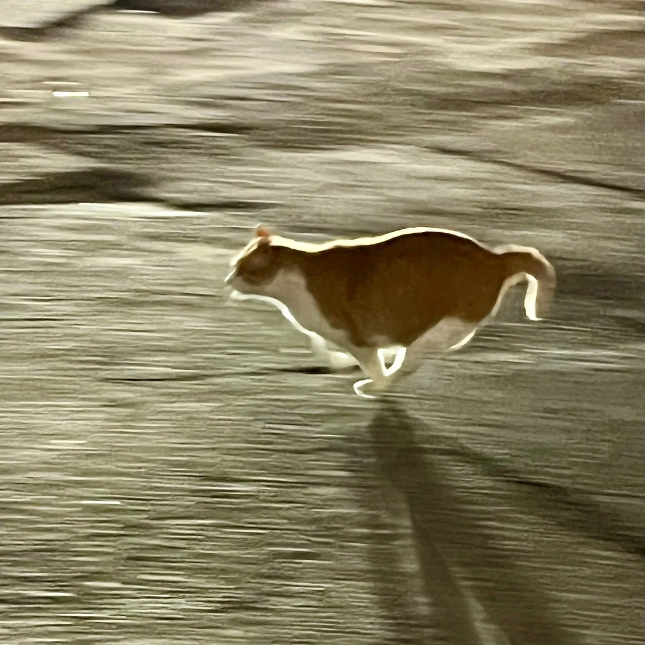 output%EF%BC%BF3913596014.jpg?type=w1600