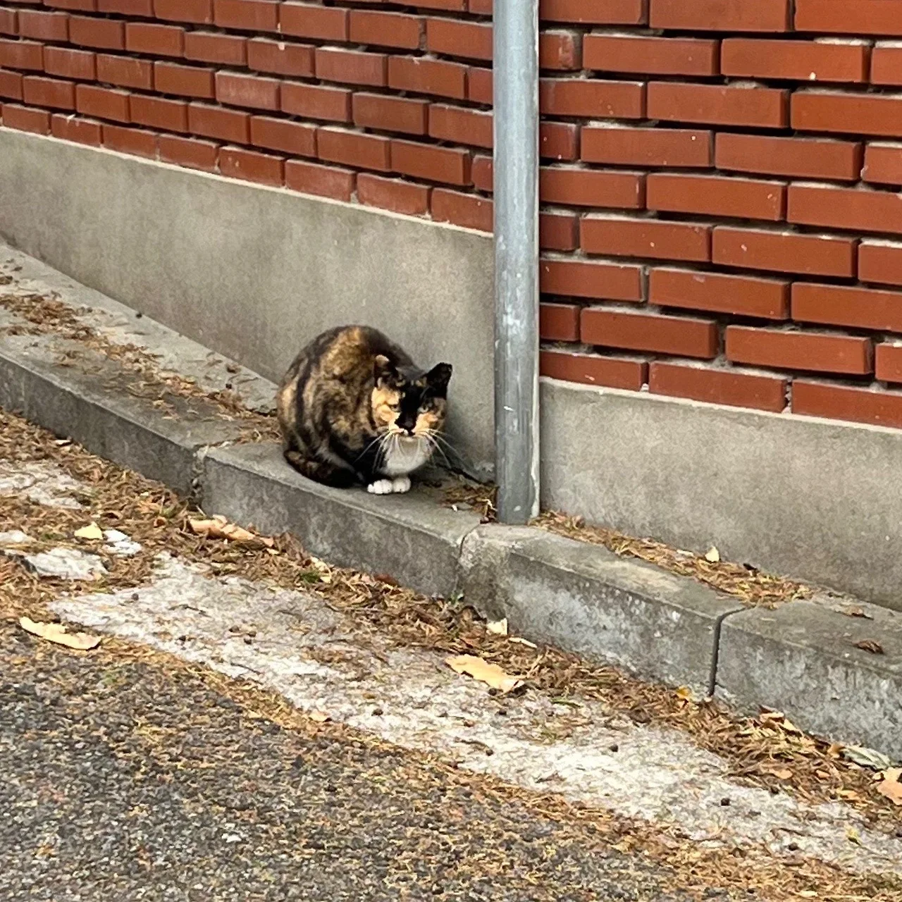 output%EF%BC%BF472644862.jpg?type=w1600