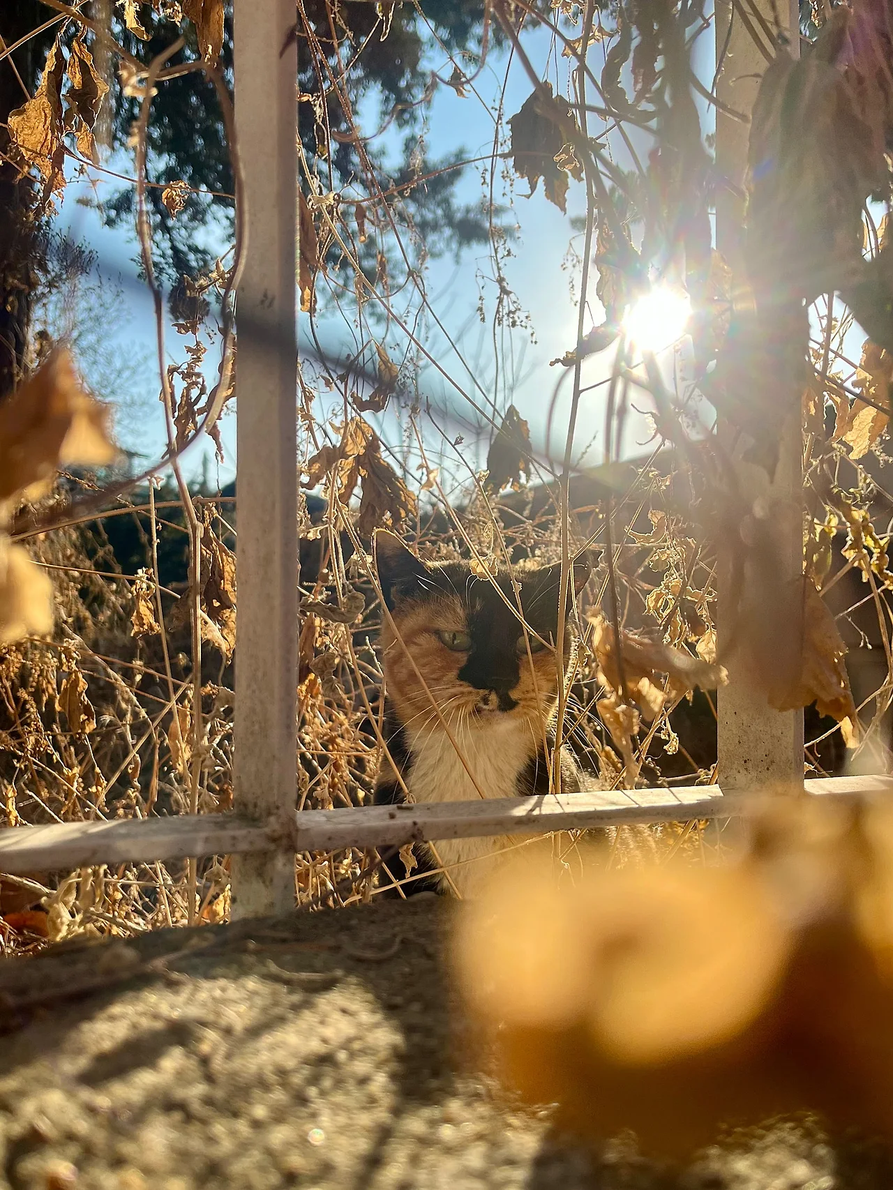 IMG%EF%BC%BF2002.jpg?type=w1600