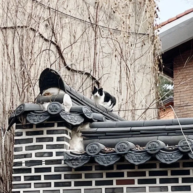 output%EF%BC%BF2937118809.jpg?type=w1600