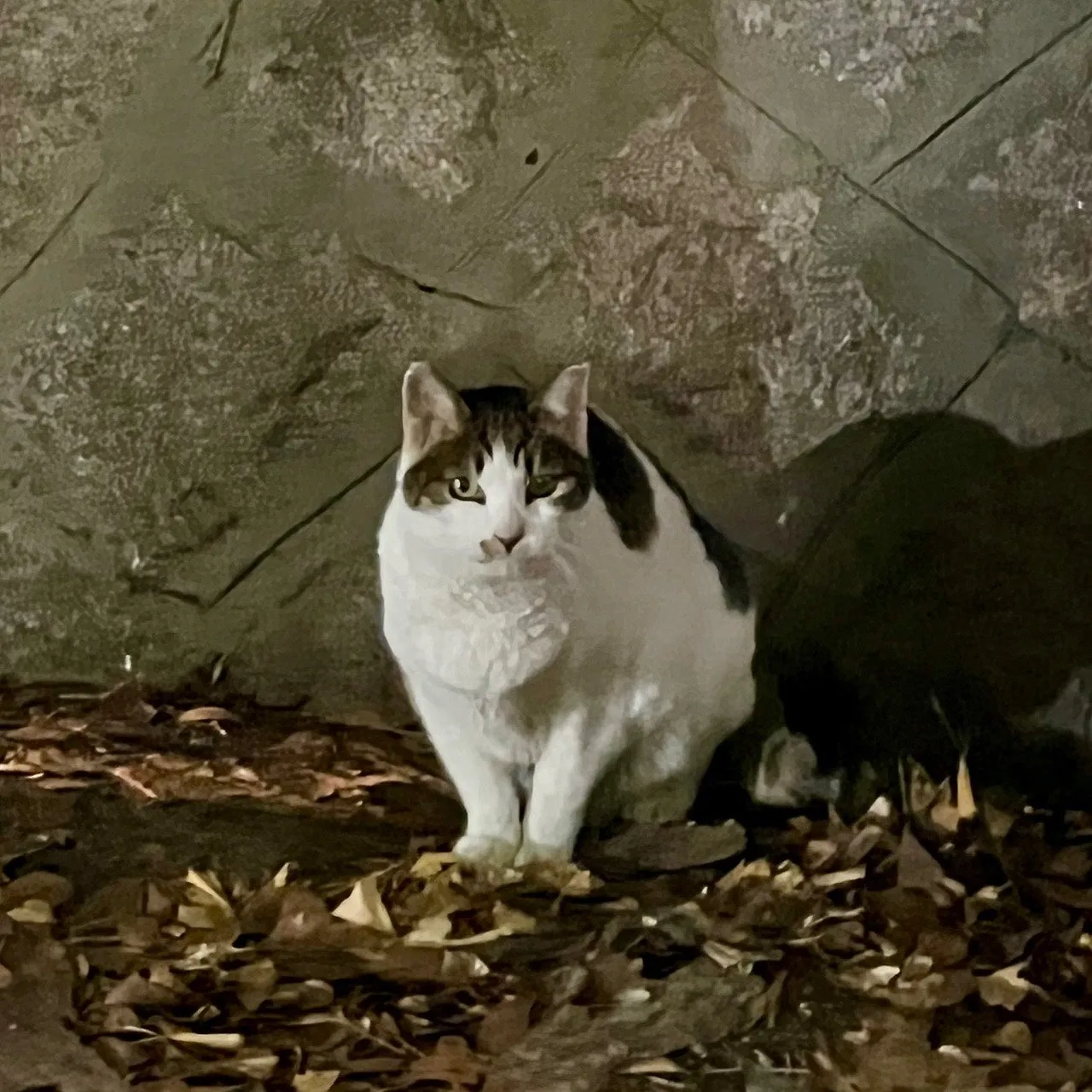 output%EF%BC%BF1778780891.jpg?type=w1600