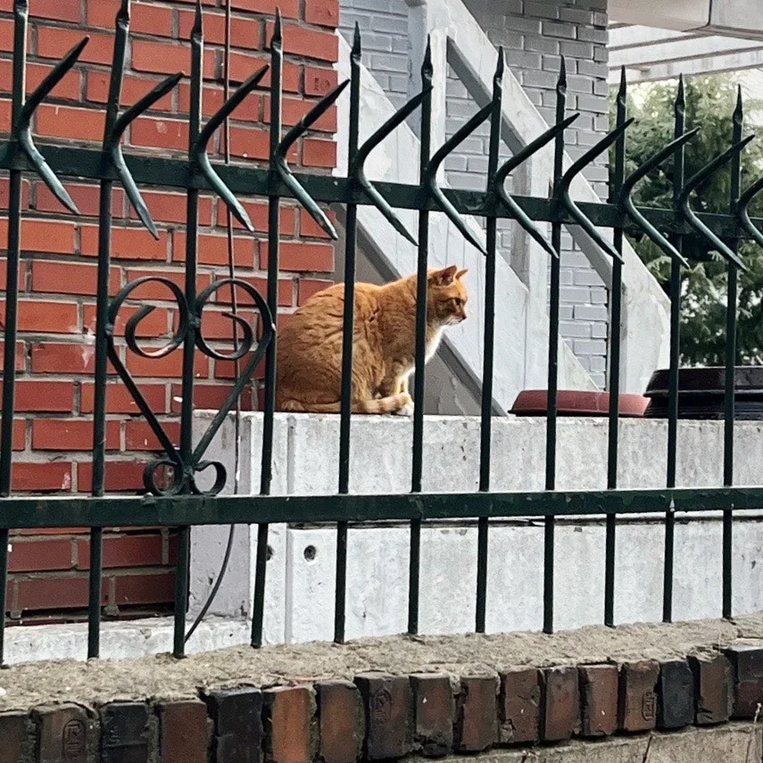 output%EF%BC%BF536374111.jpg?type=w1600