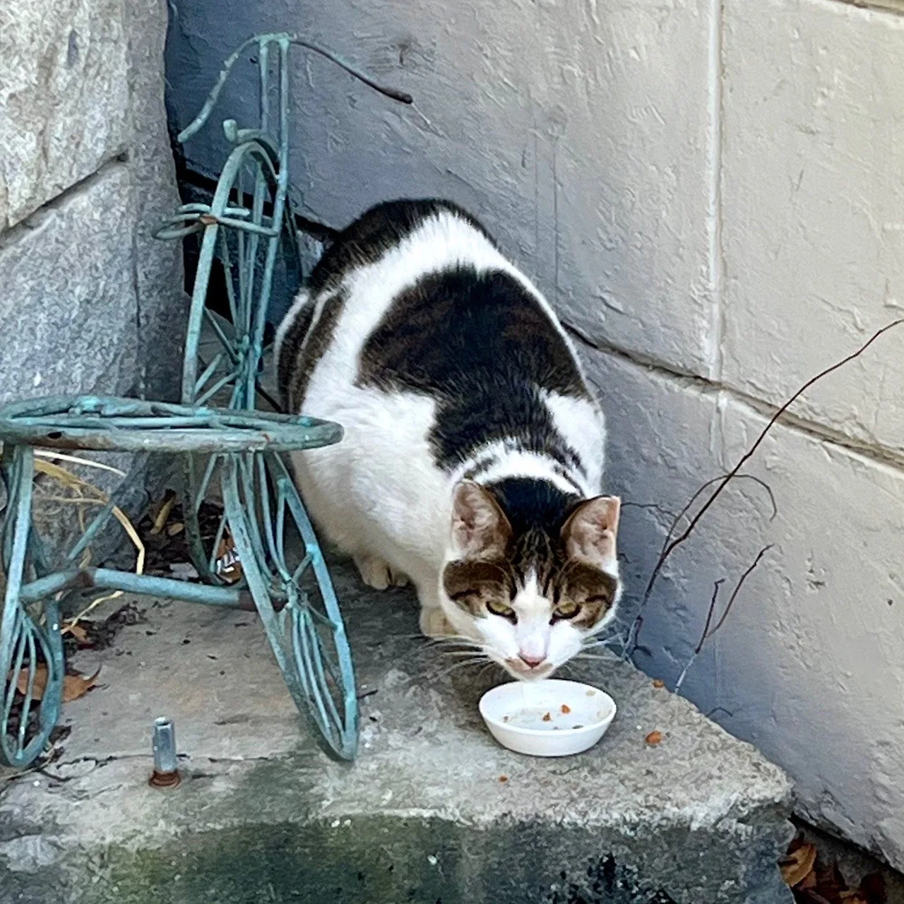 output%EF%BC%BF2637846047.jpg?type=w1600