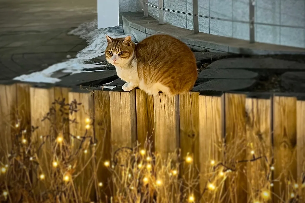 output%EF%BC%BF3894156990.jpg?type=w1600