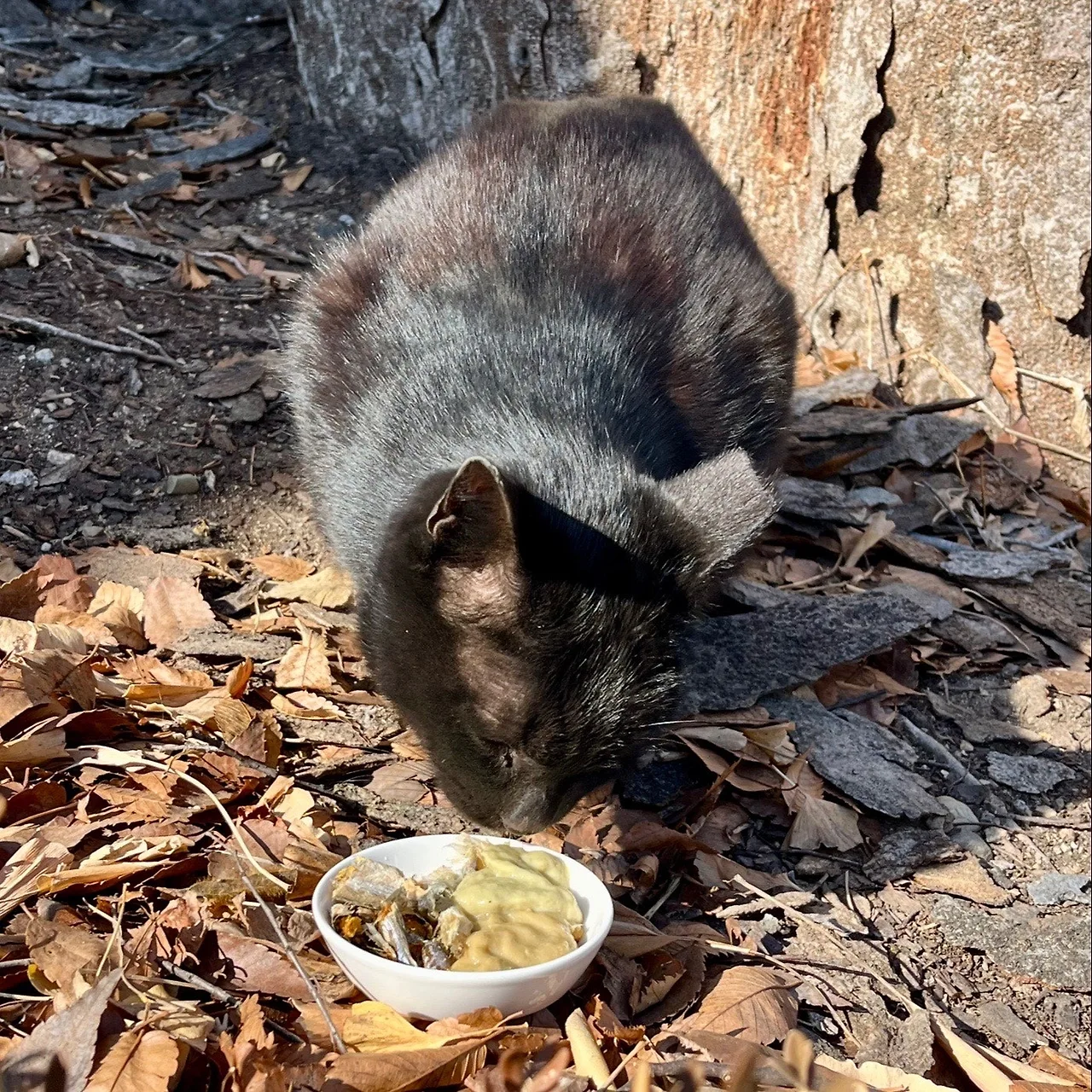 output%EF%BC%BF3854112605.jpg?type=w1600