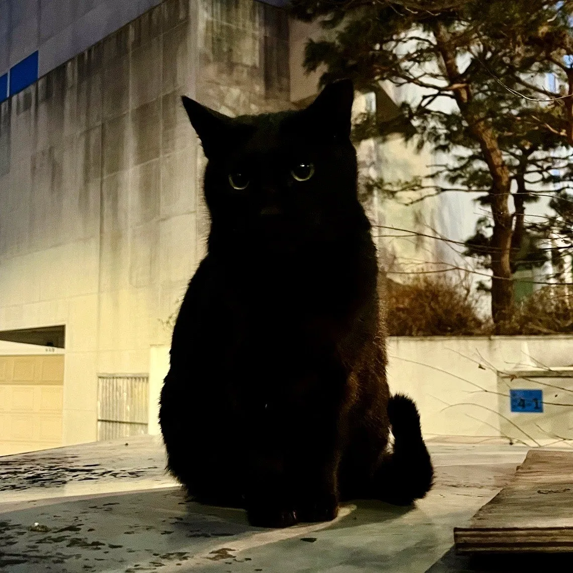 output%EF%BC%BF483617613.jpg?type=w1600