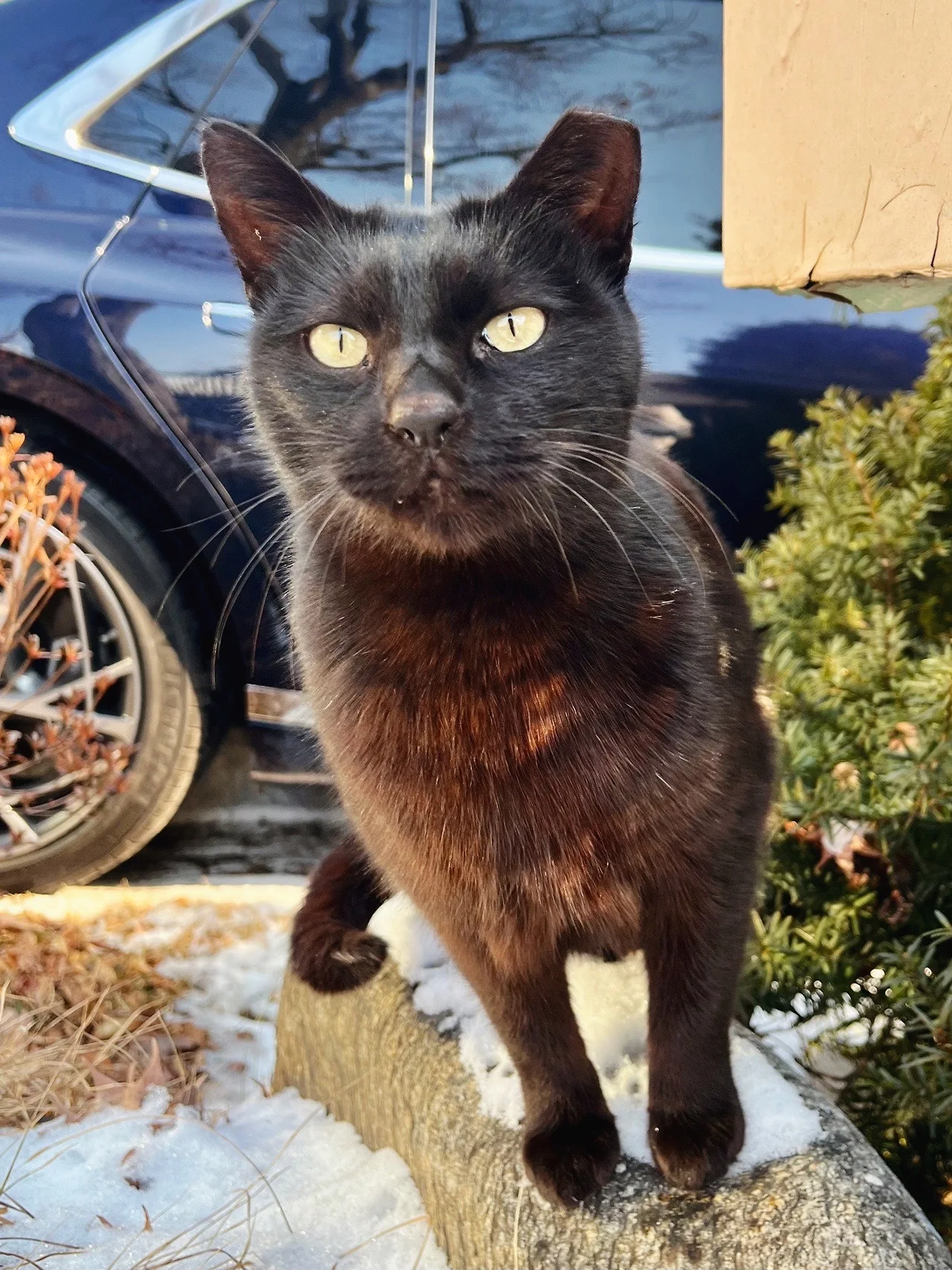 output%EF%BC%BF2319816457.jpg?type=w1600