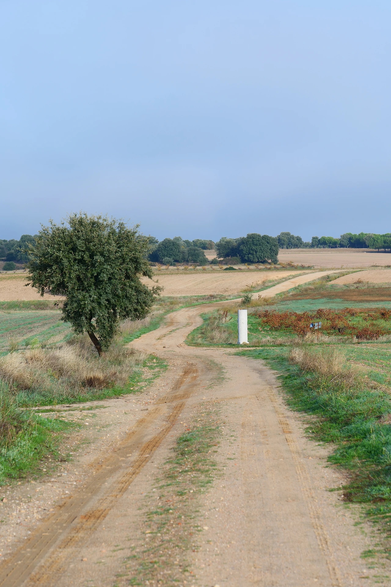 P1154402.JPG