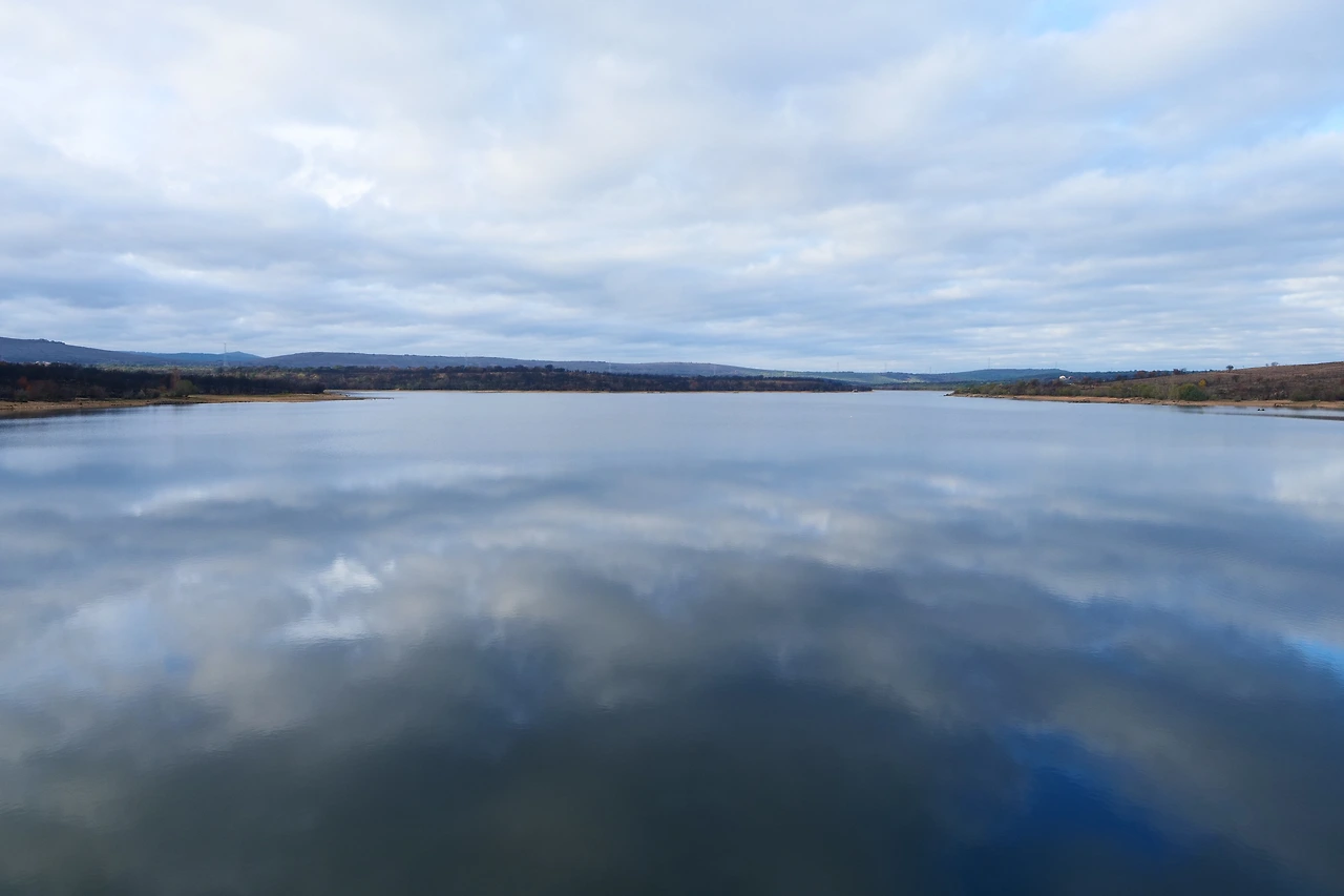 P1154683.JPG