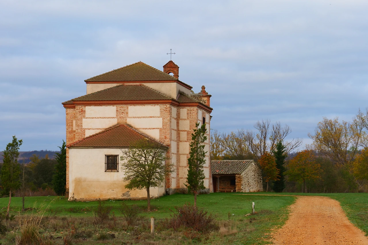 P1154675.JPG