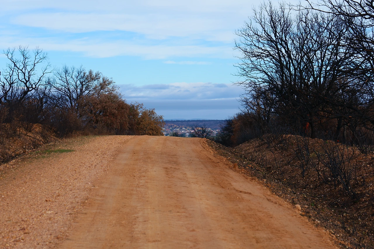 P1154649.JPG
