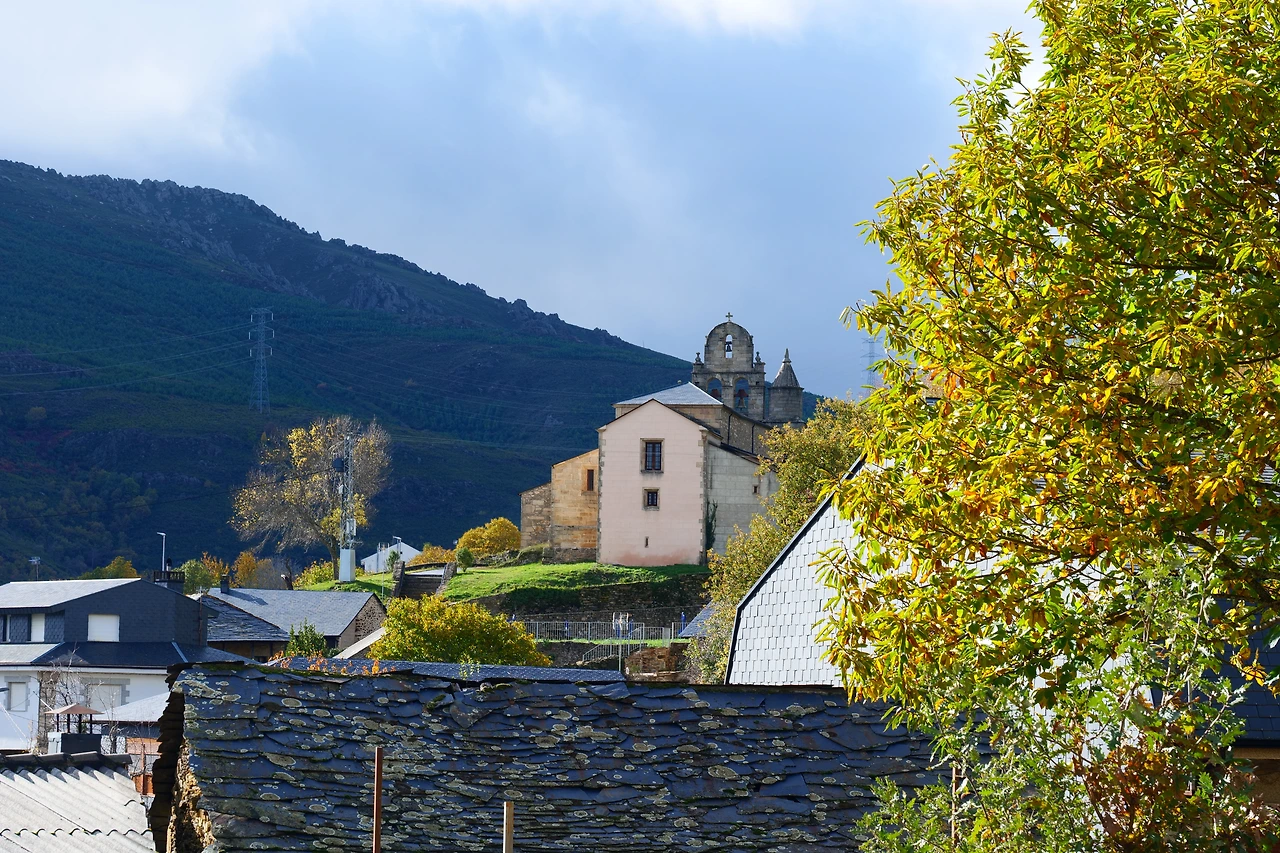 P1154806.JPG