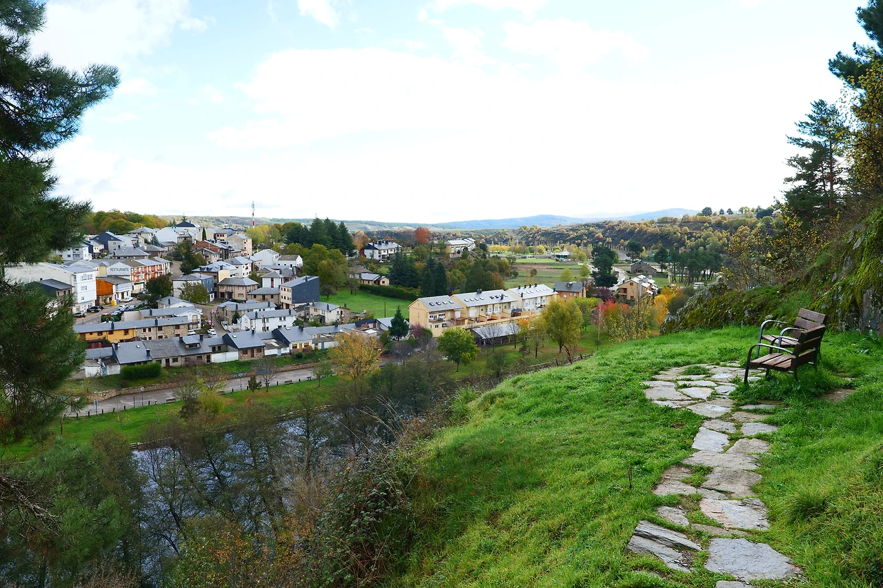 P1154771.JPG