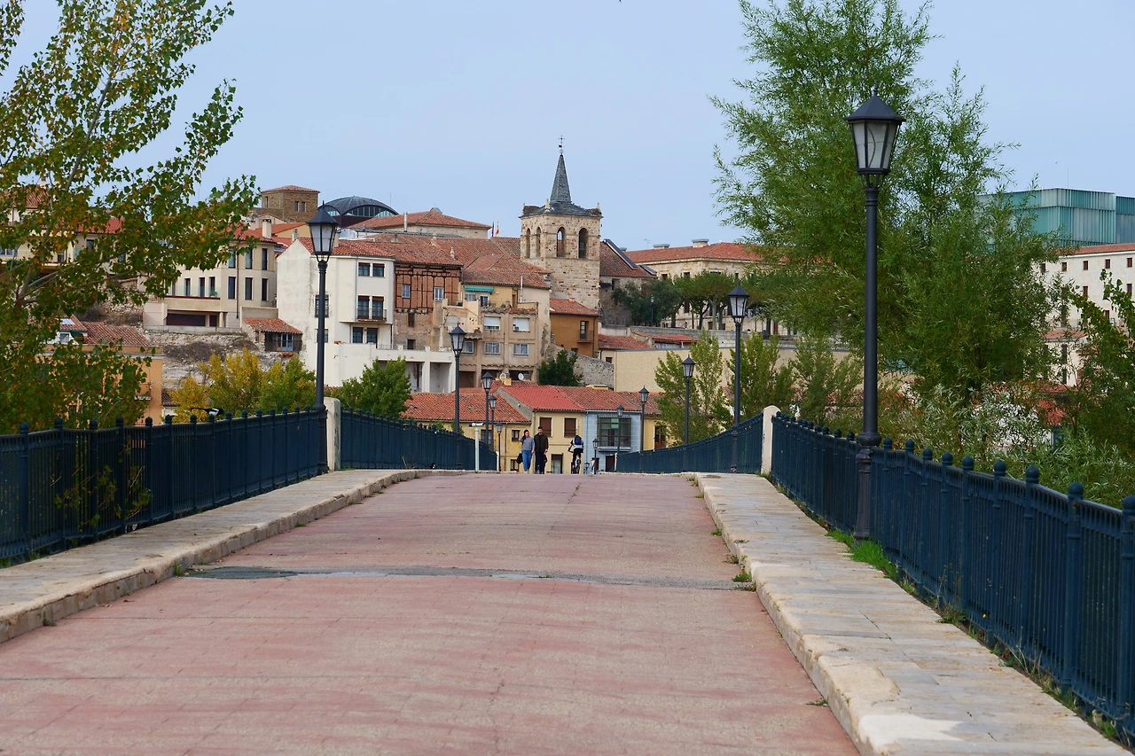 P1154434.JPG