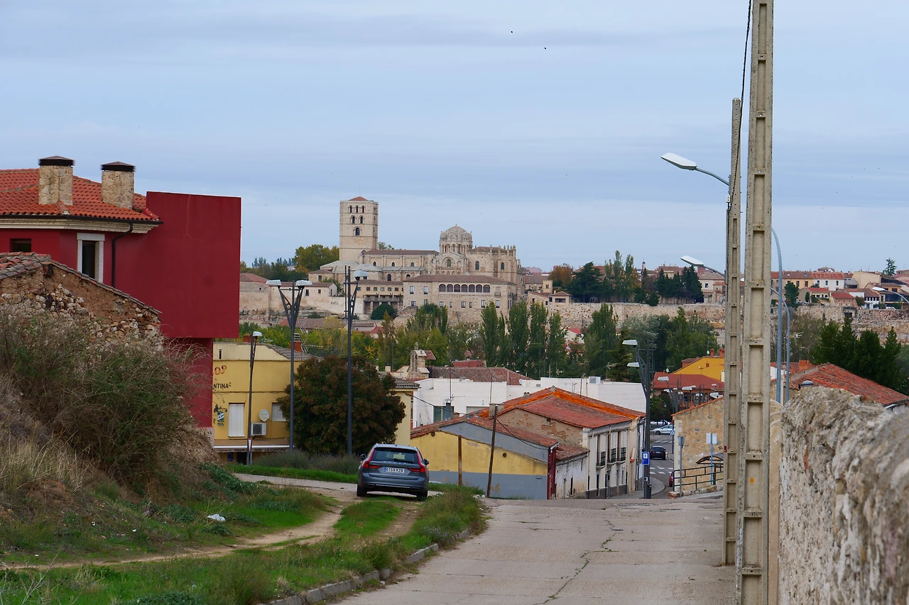 P1154421.JPG