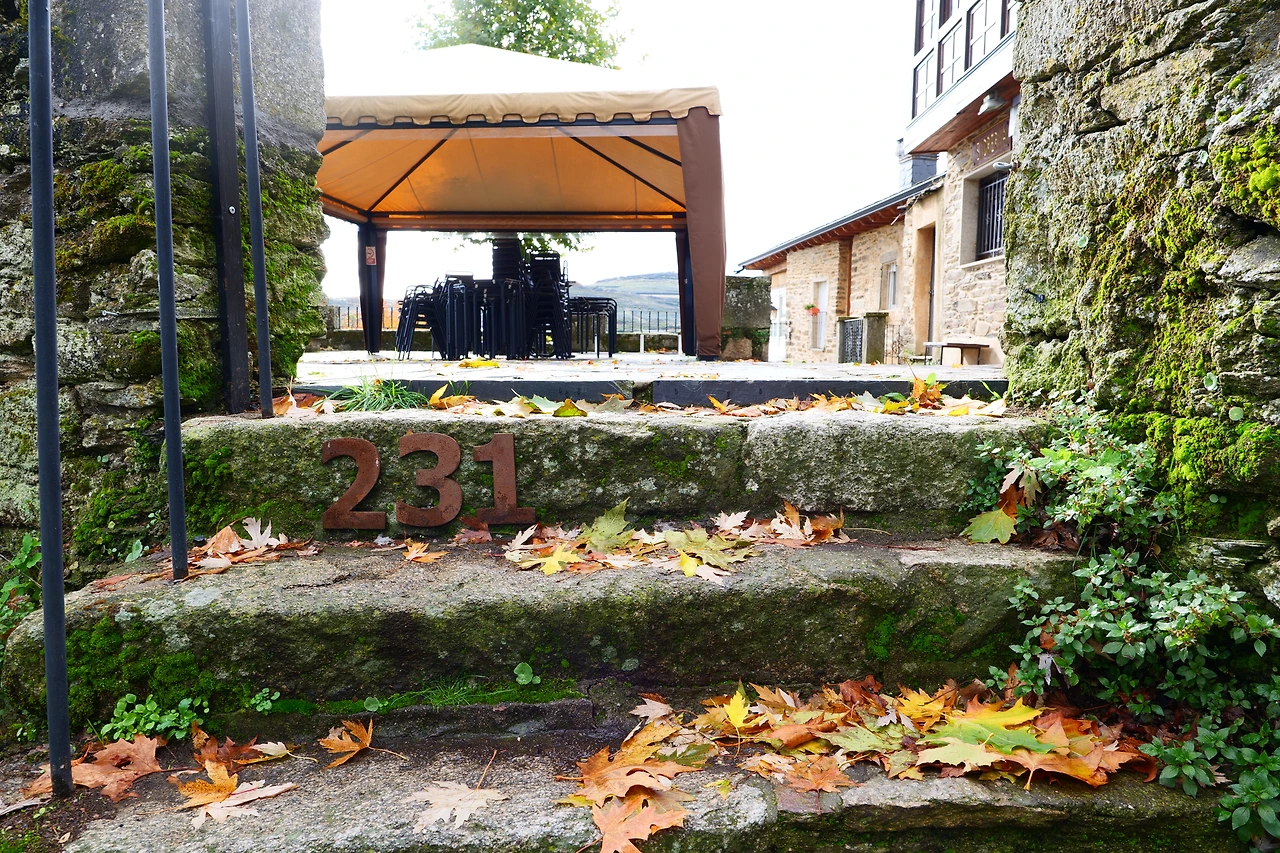 P1154775.JPG