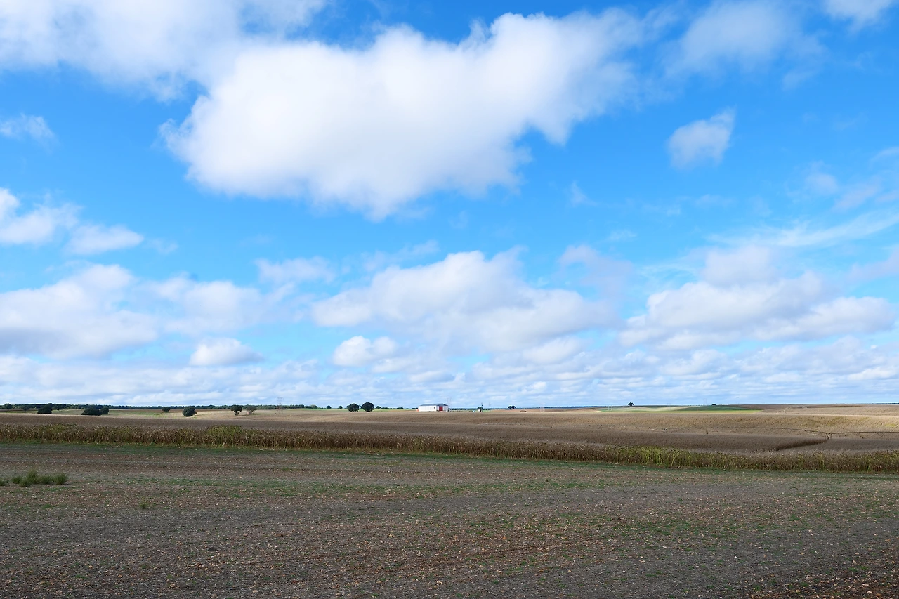 P1154375.JPG