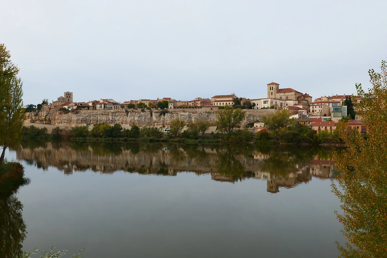 P1154435.JPG