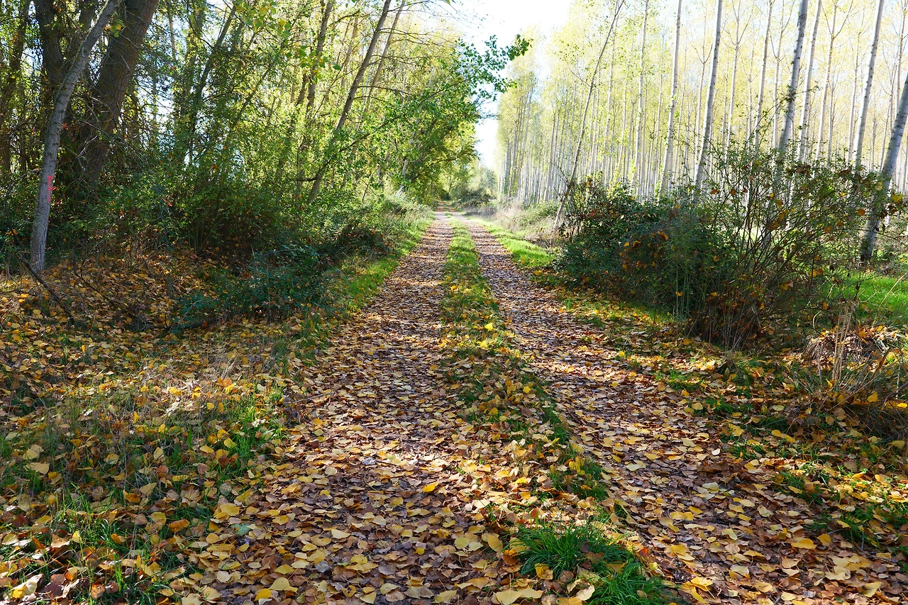 P1154660.JPG