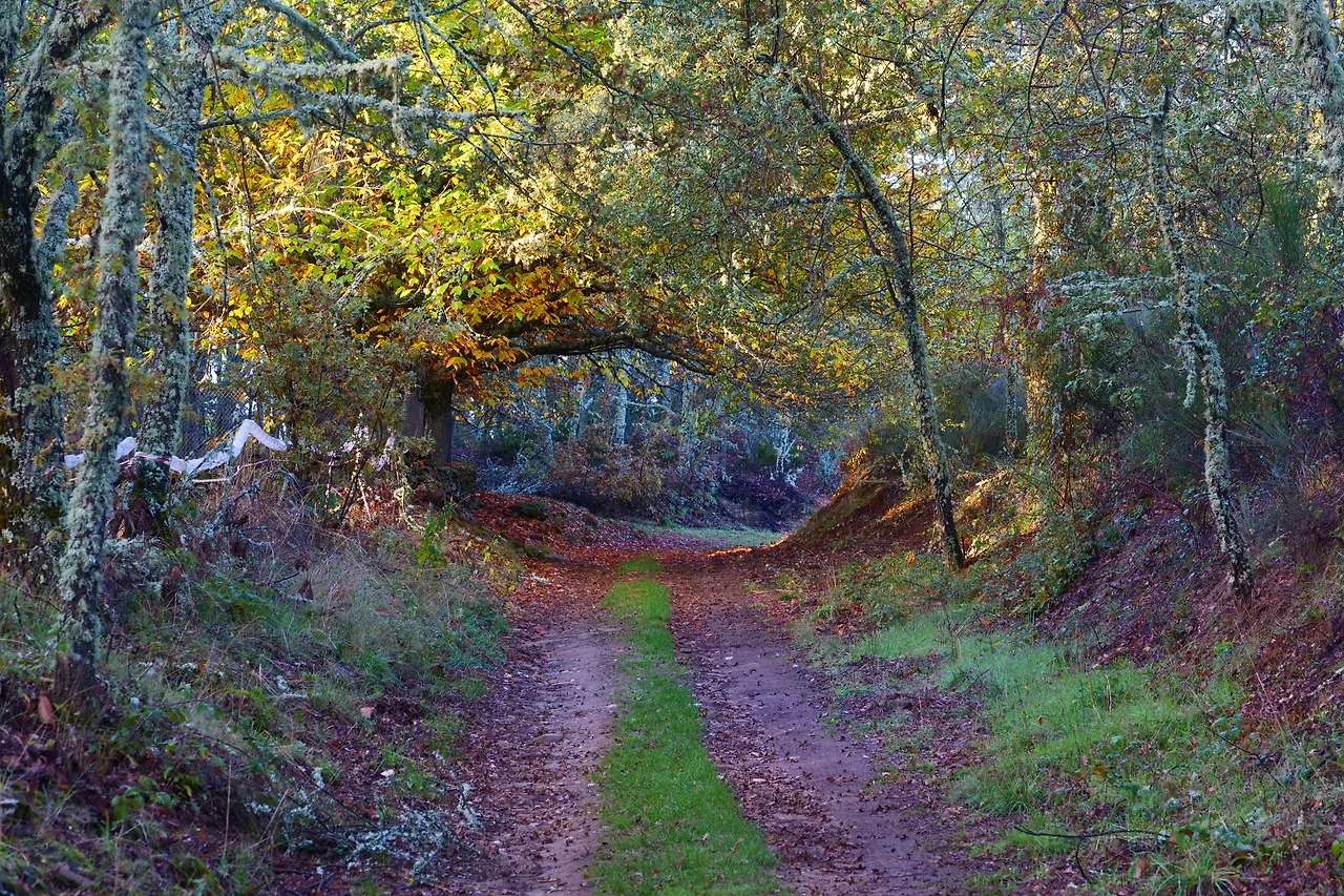 P1154724.JPG