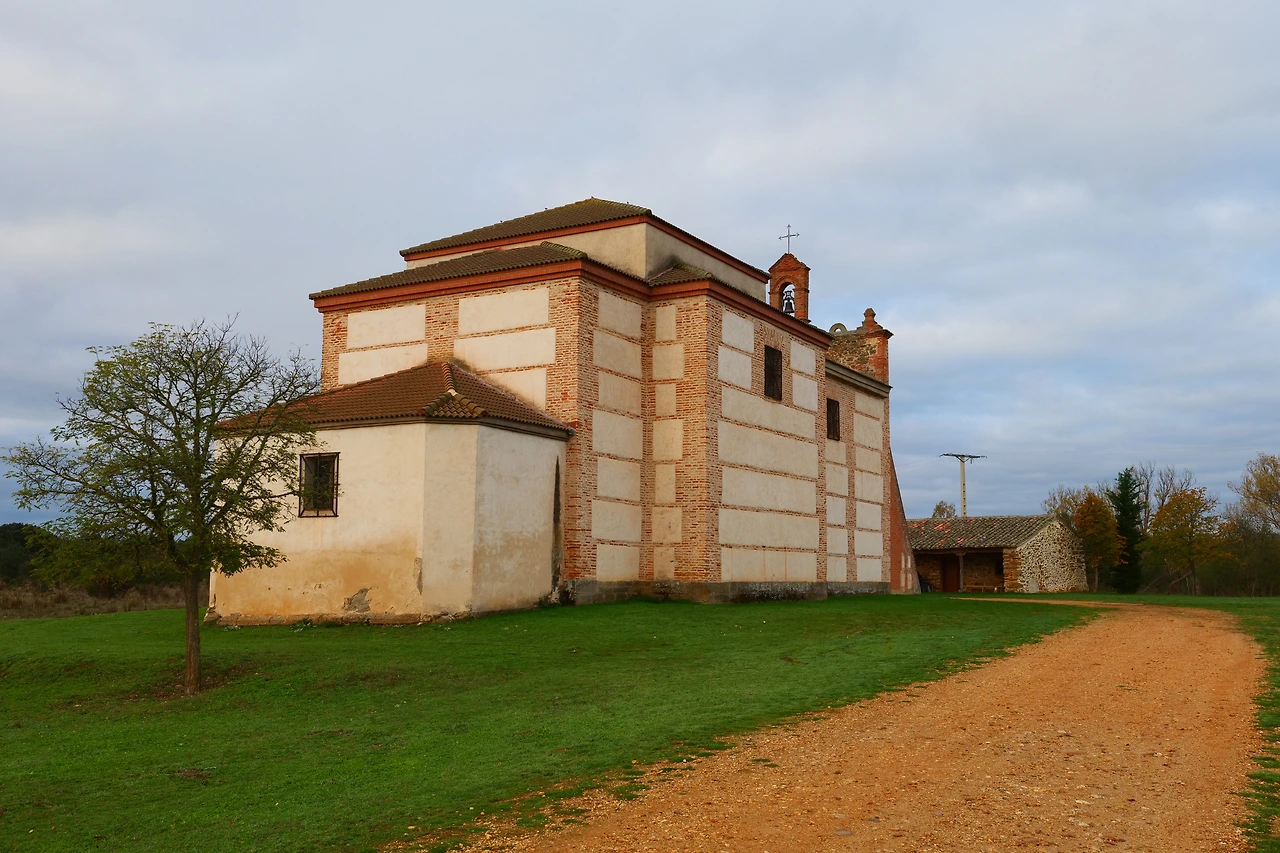 P1154676.JPG