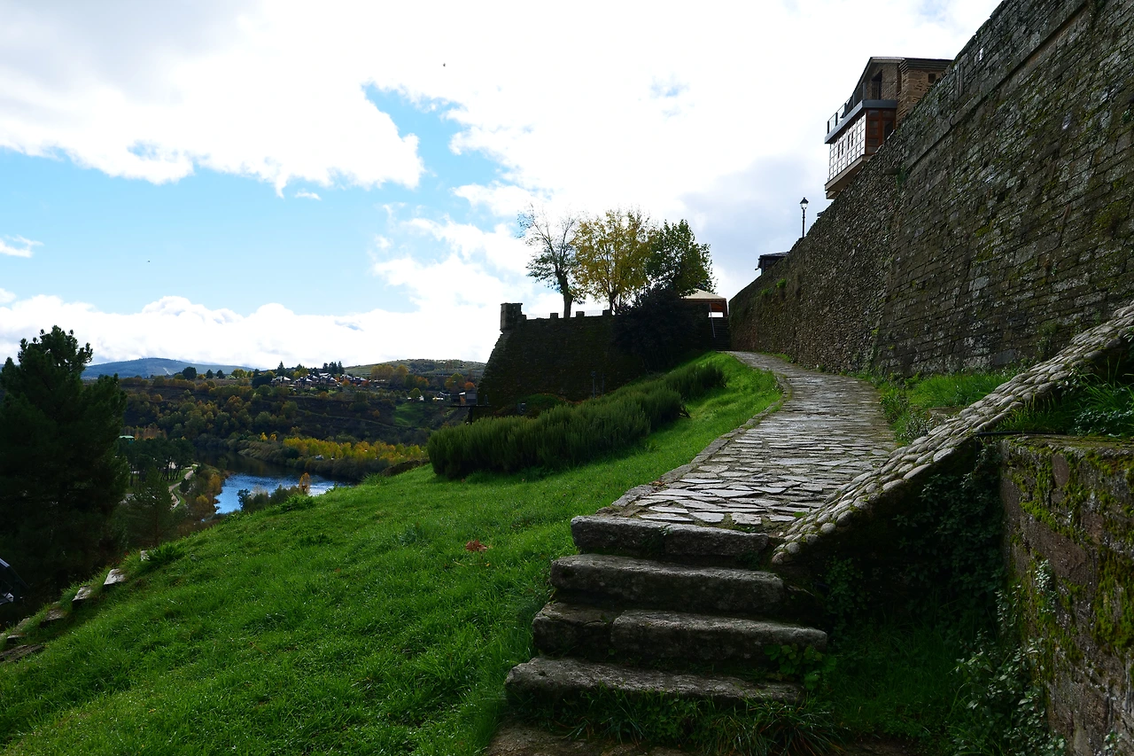 P1154773.JPG