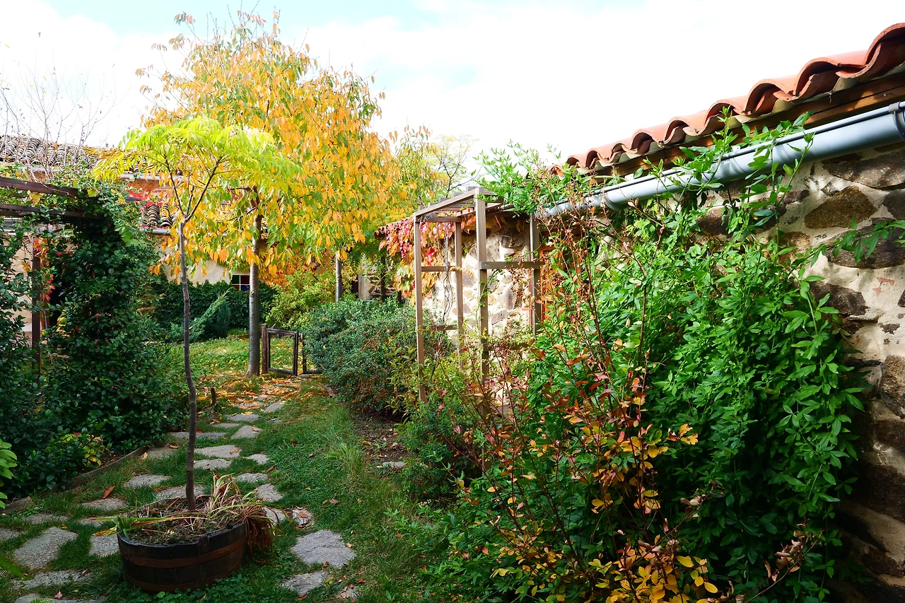 P1154693.JPG