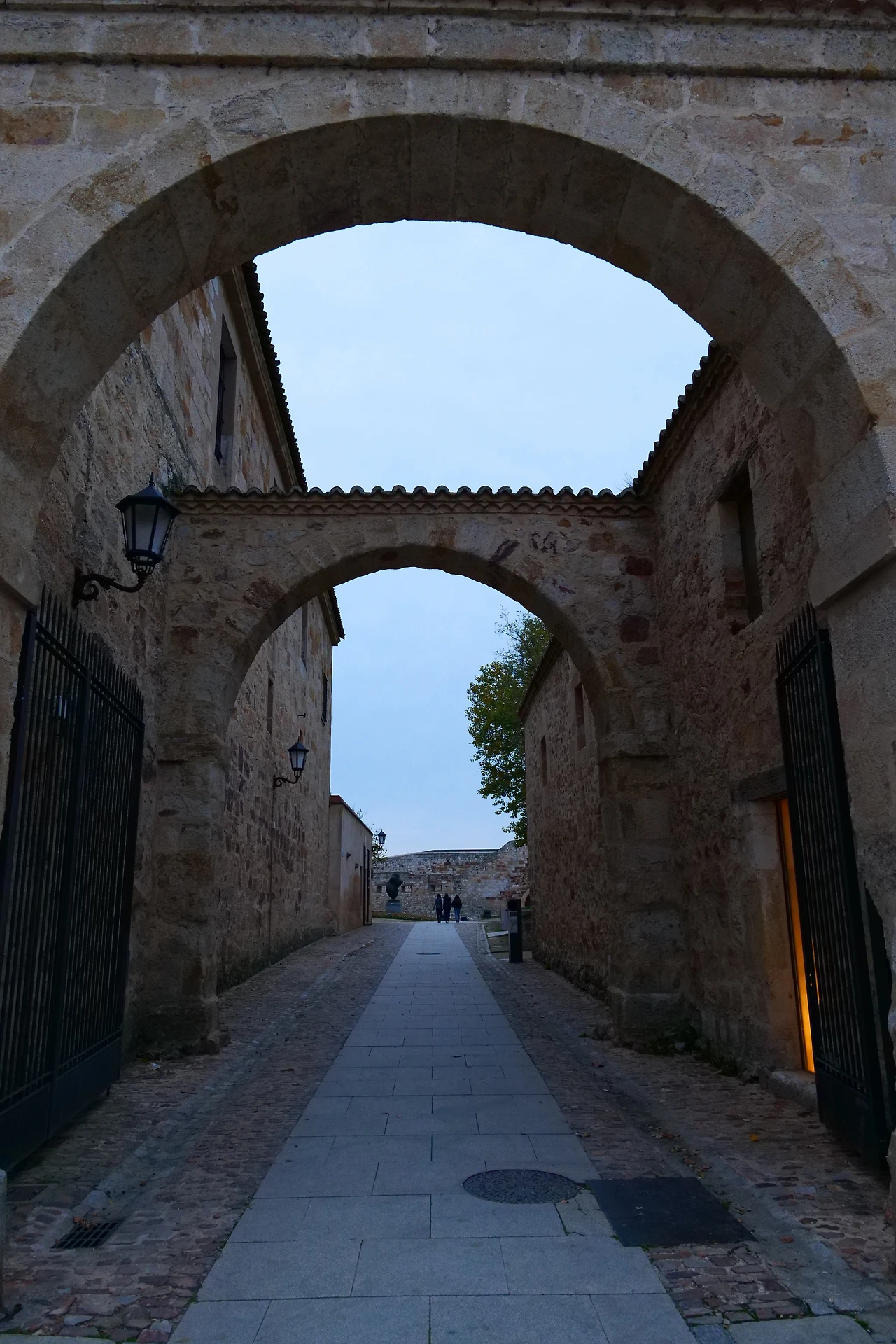 P1154506.JPG