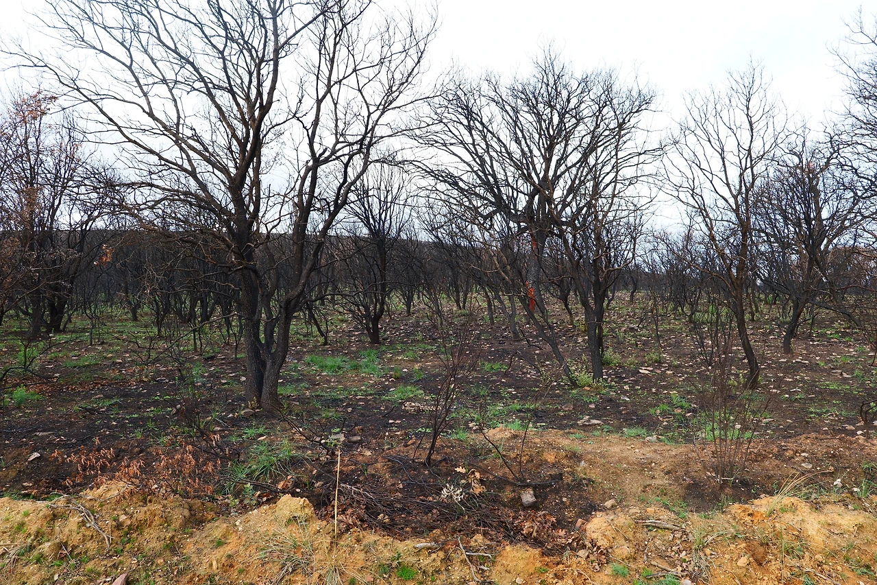 P1154646.JPG