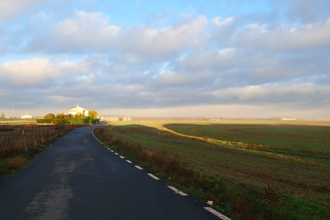 P1154356.JPG