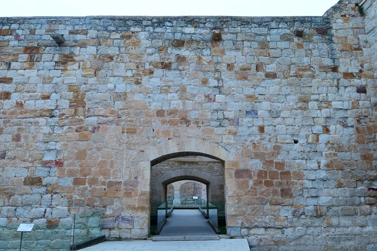 P1154510.JPG